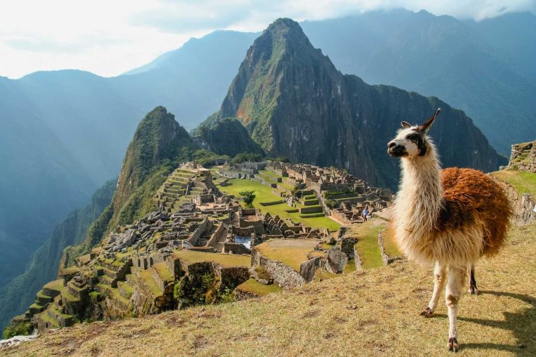 Machu Picchu full Day Tour