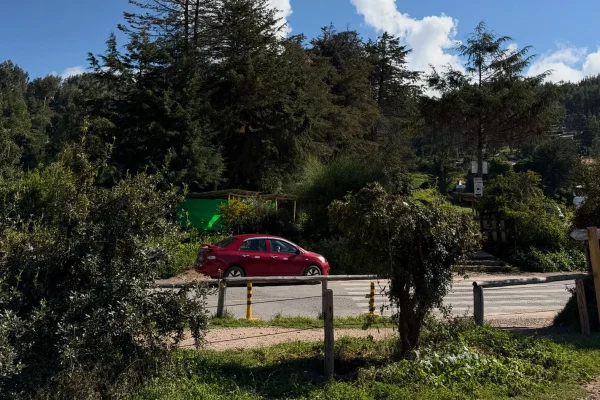 Taxi to Sacsayhuaman, Qenqo, Pukapukara, and Tambomachay